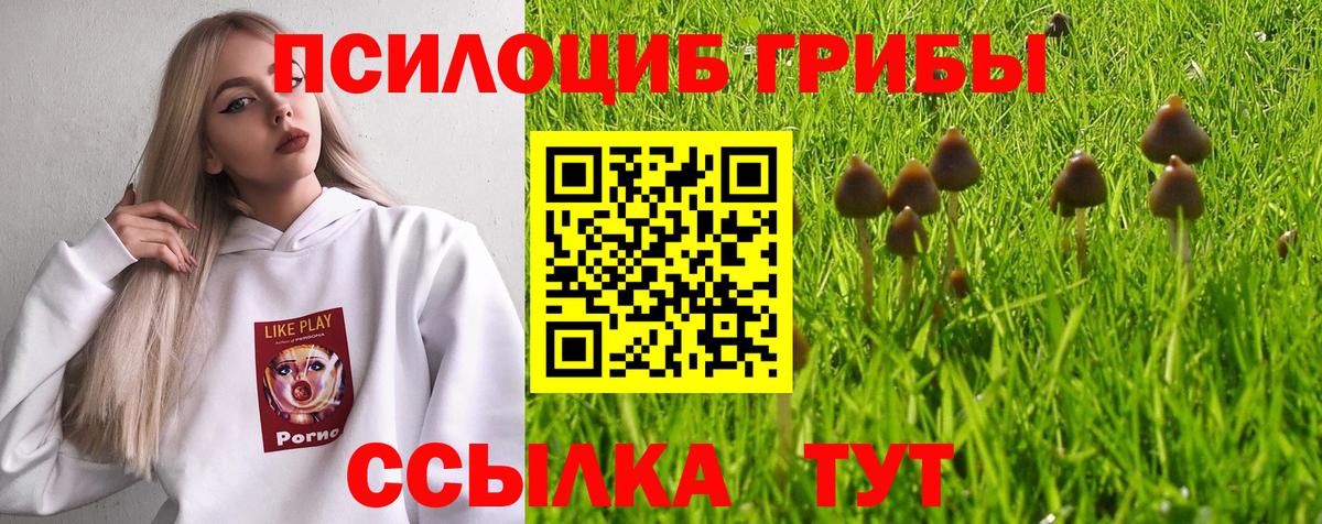 Златоуст  Галлюциногенные грибы GOLDEN TEACHER  Вход с VPN  Галлюциногенные грибы Cubensis 