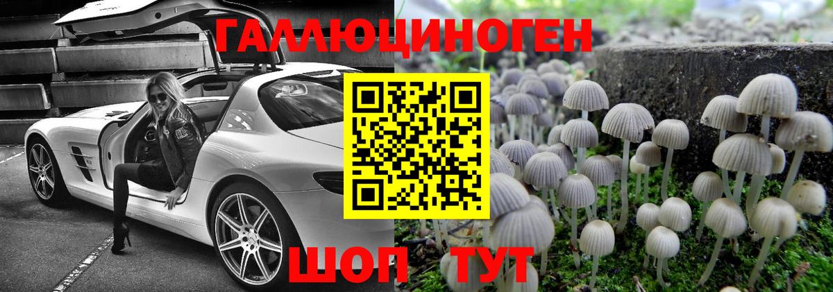 Галлюциногенные грибы прущие грибы Златоуст